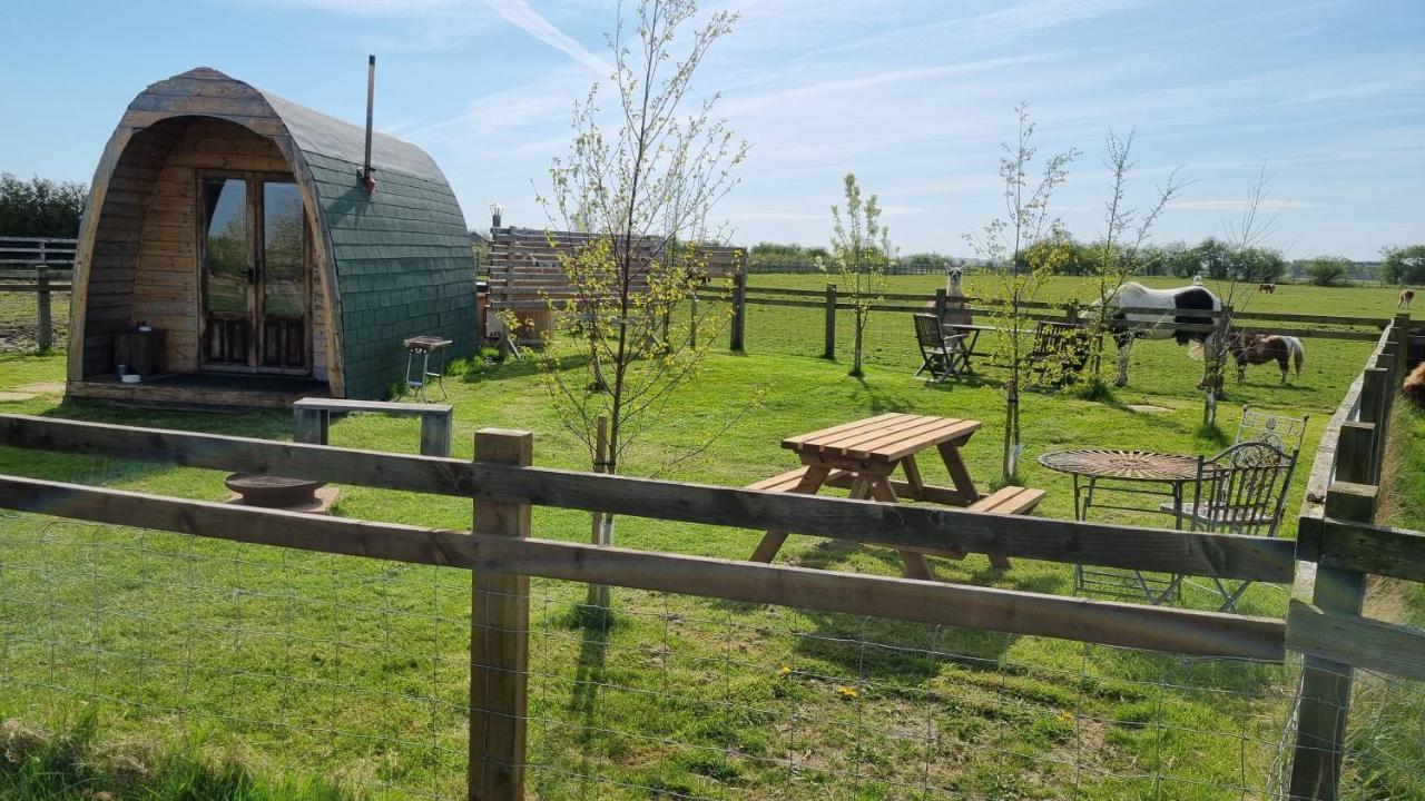 Skipbridge Farm Glamping York Exterior photo