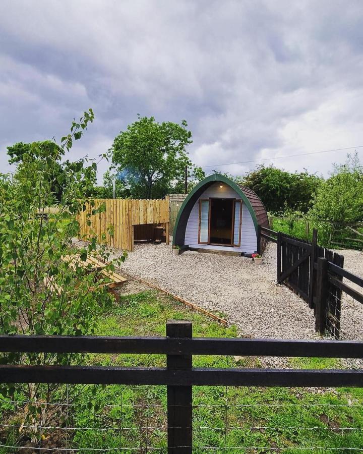 Skipbridge Farm Glamping York Exterior photo